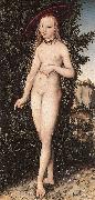 CRANACH, Lucas the Elder Venus Standing in a Landscape  fdg oil